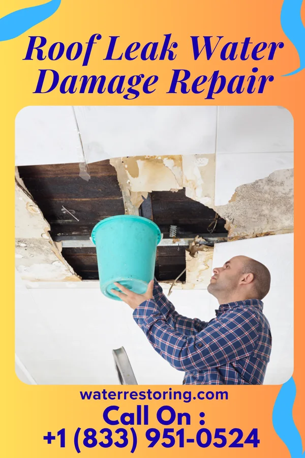 Roof Leak Water Damage Repair in Joaquin, TX